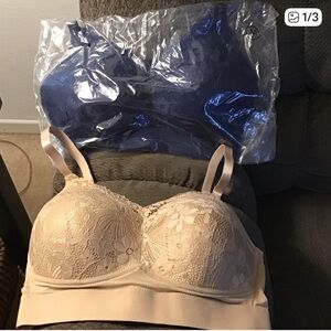 NWT Women’s M Rhonda Shear Lace Longline Bra in Cream and Navy